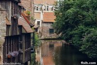 Two Hitmen in Bruges