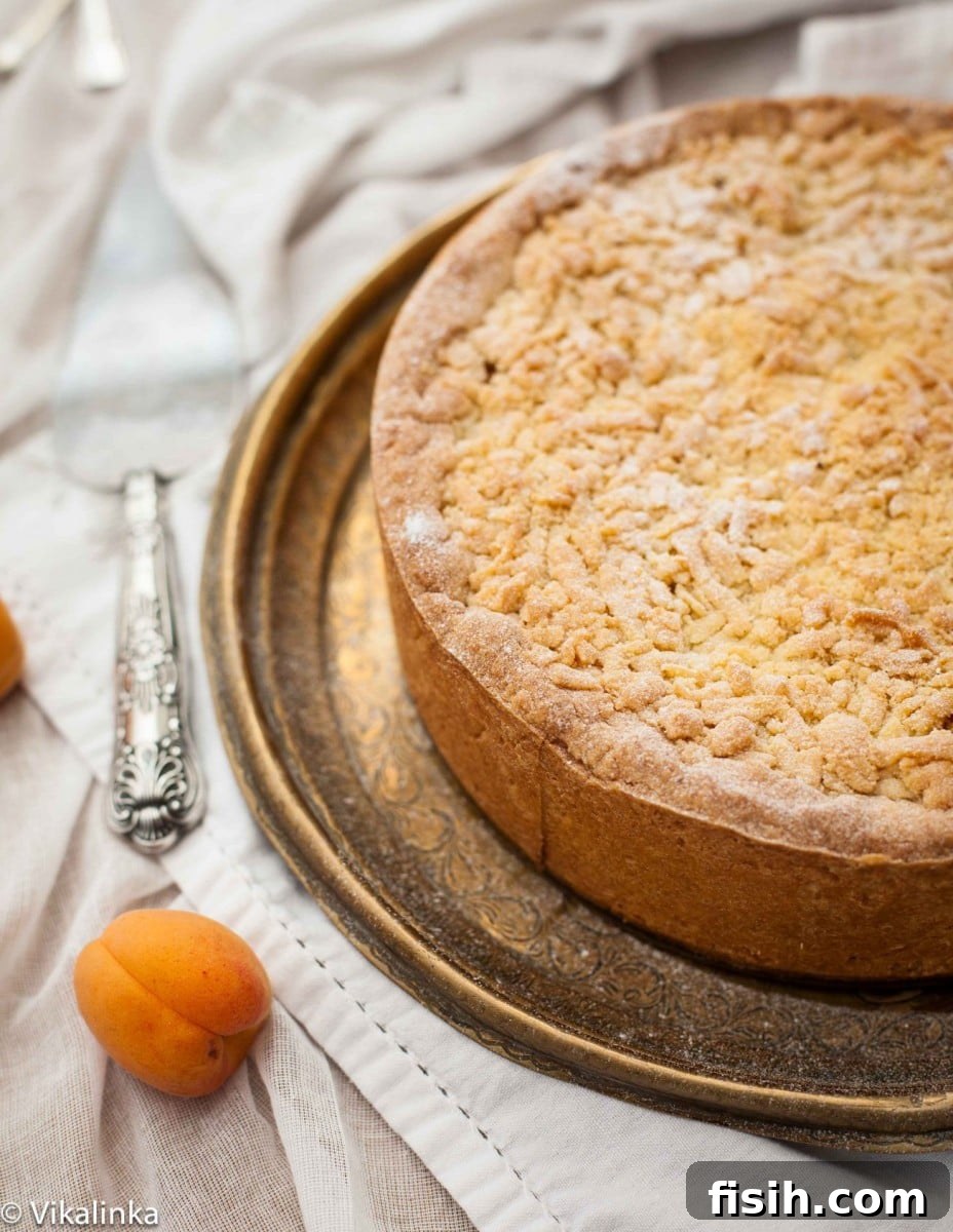 Crumb Apricot Cheesecake, showcasing its rich texture and beautiful topping.