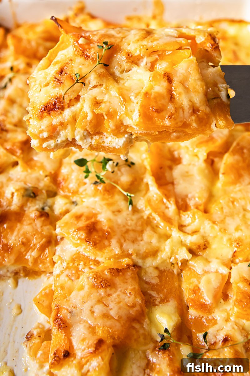 Golden Butternut Bake 5 Close-up view of butternut squash gratin with a serving being lifted, showing the creamy texture and melted cheese.