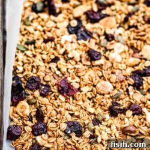 close up of black forest granola in pan