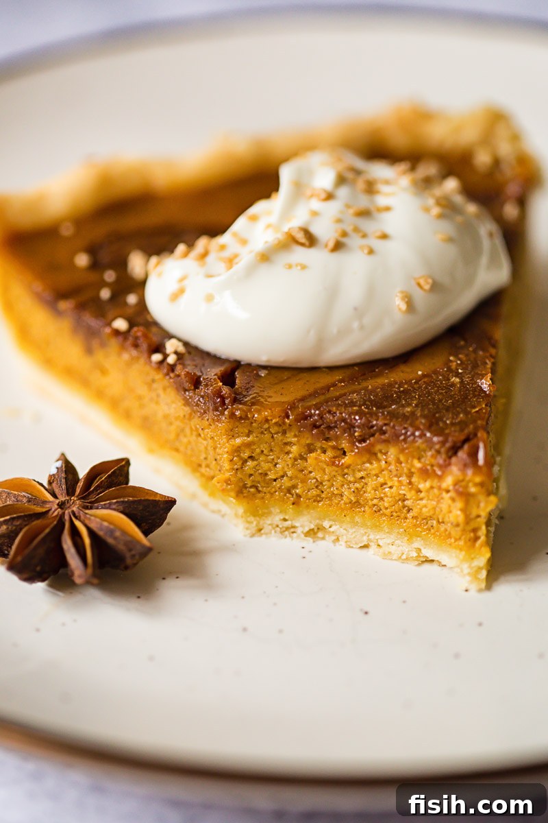 A slice of chocolate swirl pumpkin pie topped with whipped cream and a sprinkle of maple sugar, accompanied by whole star anise pods for decoration.