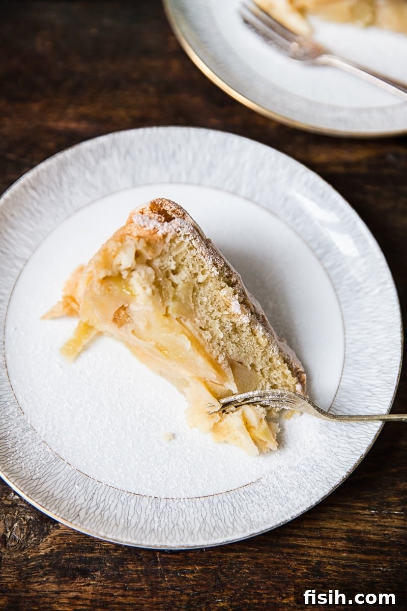Homestyle Sharlotka Apple Cake 2 A perfectly sliced piece of Apple Cake Sharlotka on a pristine white plate, showcasing its fluffy texture and apple layers.