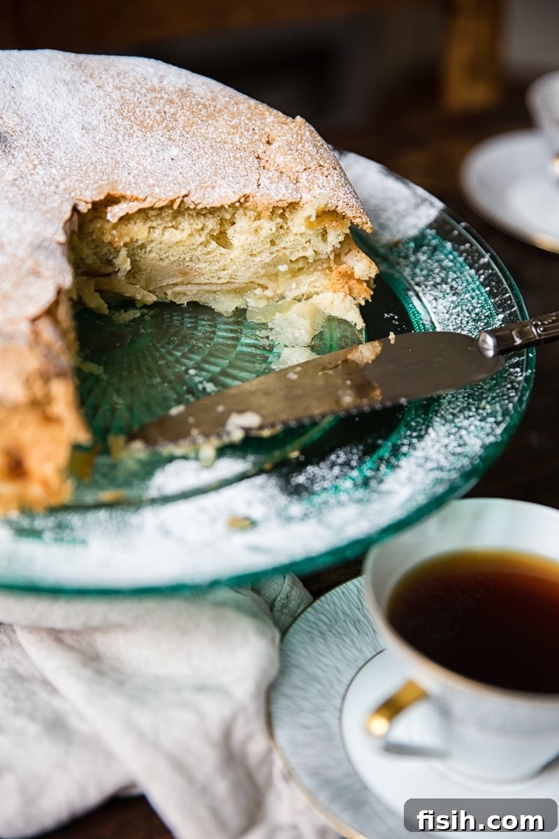 Homestyle Sharlotka Apple Cake 3 A side view of a baked Apple Cake Sharlotka with a generous slice already removed, showing the golden crust and soft interior.