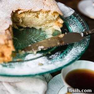 Homestyle Sharlotka Apple Cake 7 side shot Apple Cake Sharlotka with piece cut out