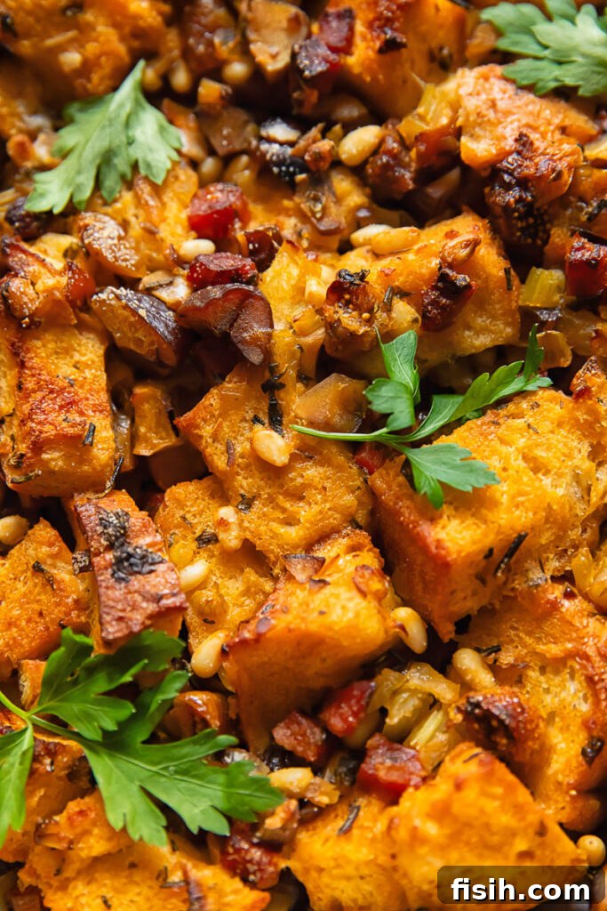 Close up shot of chorizo stuffing with sourdough bread and figs