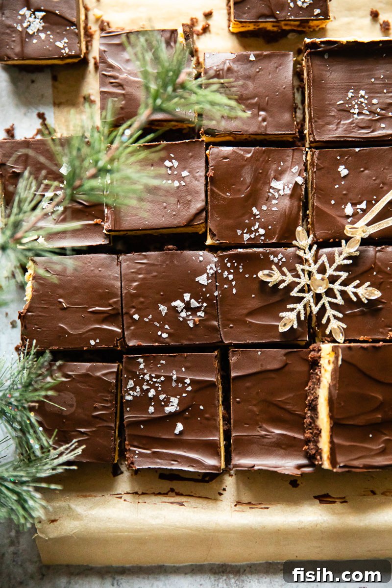 Classic Canadian Nanaimo Bars 3 Top-down view of glistening chocolate-covered Nanaimo Bars, delicately sprinkled with flaked sea salt