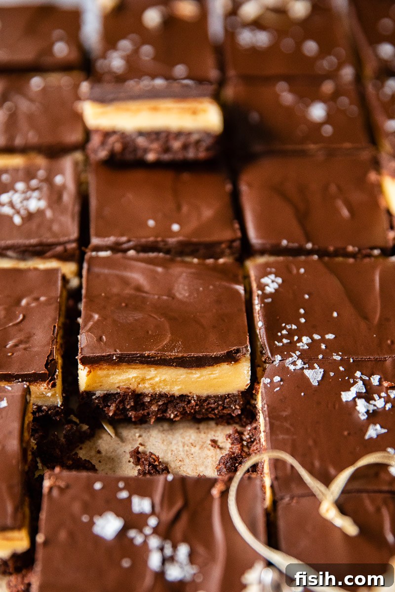 Classic Canadian Nanaimo Bars 5 Nanaimo Bars with all three layers clearly exposed in a delicious cross-section