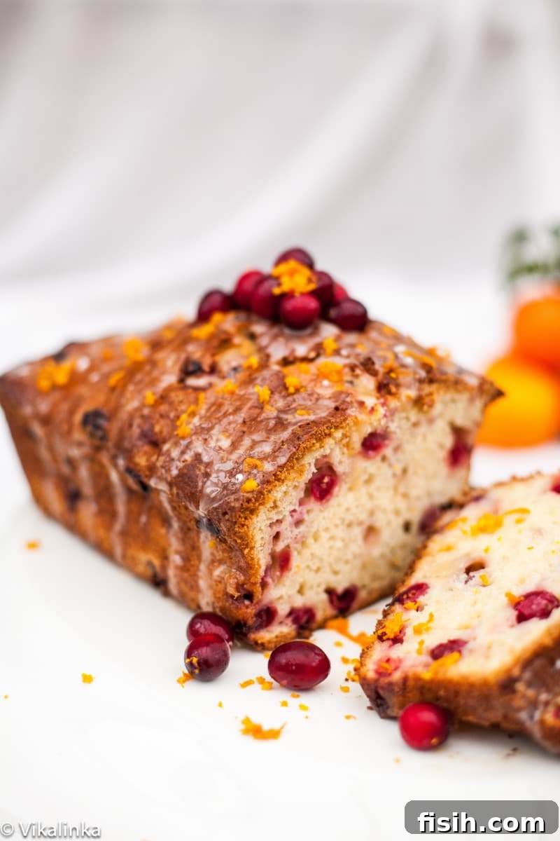 A beautiful cranberry orange loaf placed on a white background, ready to be sliced.