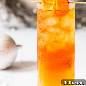 Side view of negroni fizz with orange as garnish