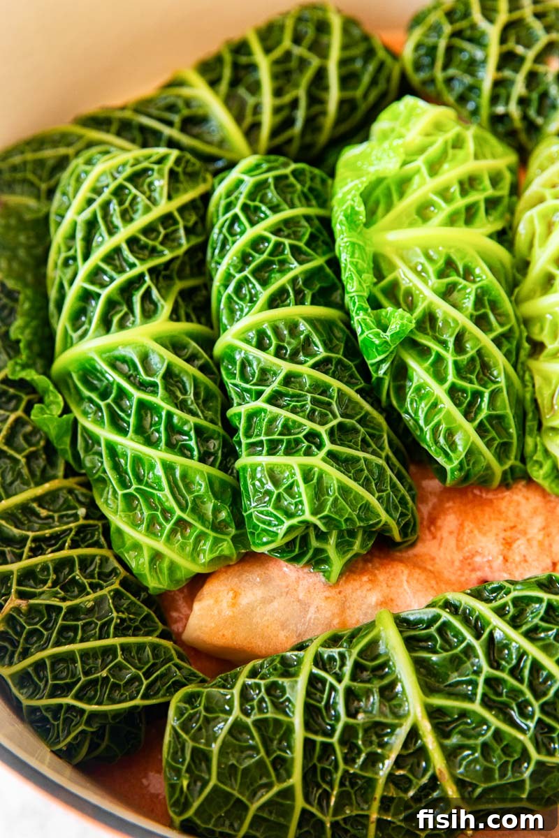 Uncooked Cabbage Rolls made with delicate Savoy cabbage leaves, showcasing the neatly rolled parcels before baking, ready to absorb the flavorful sauce.