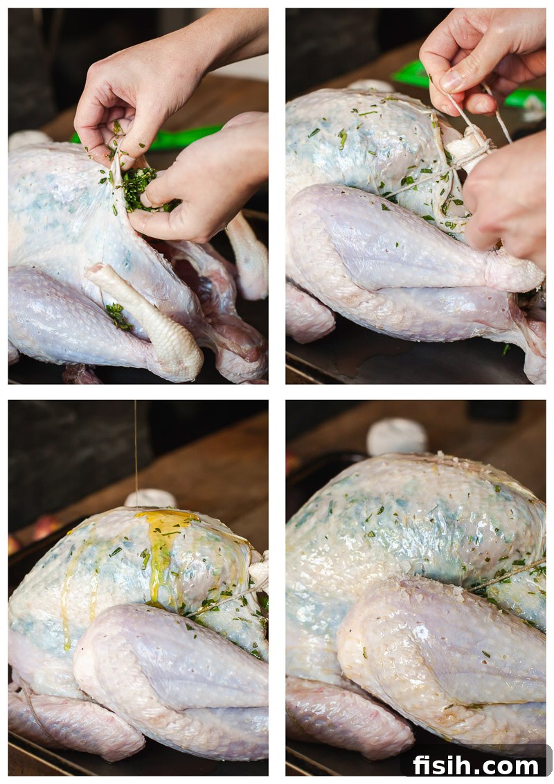 Step-by-step process of preparing a raw turkey for roasting, showing the application of herbs and trussing