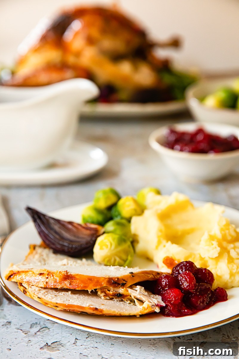 A festive turkey dinner on a plate with gravy and side dishes, ready to enjoy