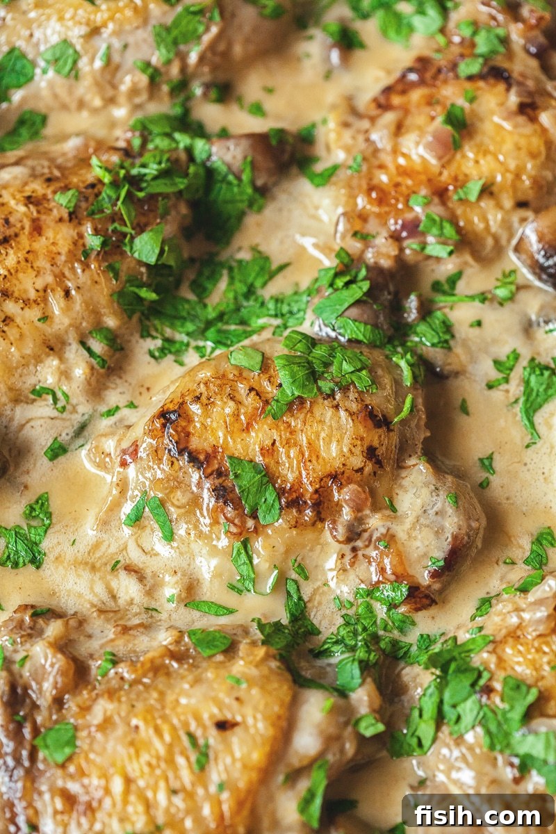 White Wine Braised Chicken 3 Close up of succulent chicken braised in a creamy white wine and mushroom sauce
