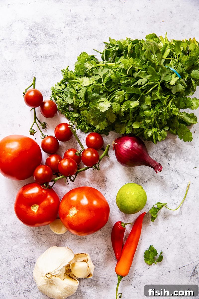 Fresh ingredients laid out for making salsa, including tomatoes, onions, garlic, chilies, and cilantro
