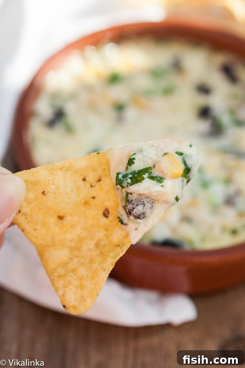 a tortilla chip with cheesy dip on it