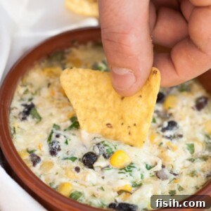 a chip being dipped in a cheesy dip