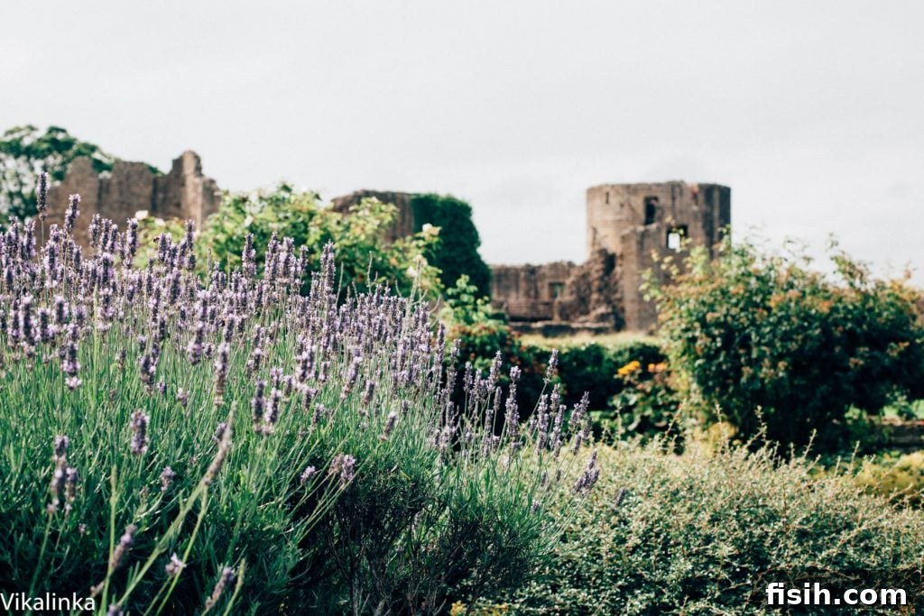 Travel Photography England Yorkshire