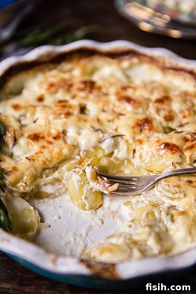 golden brown gratin potatoes in a baking dish