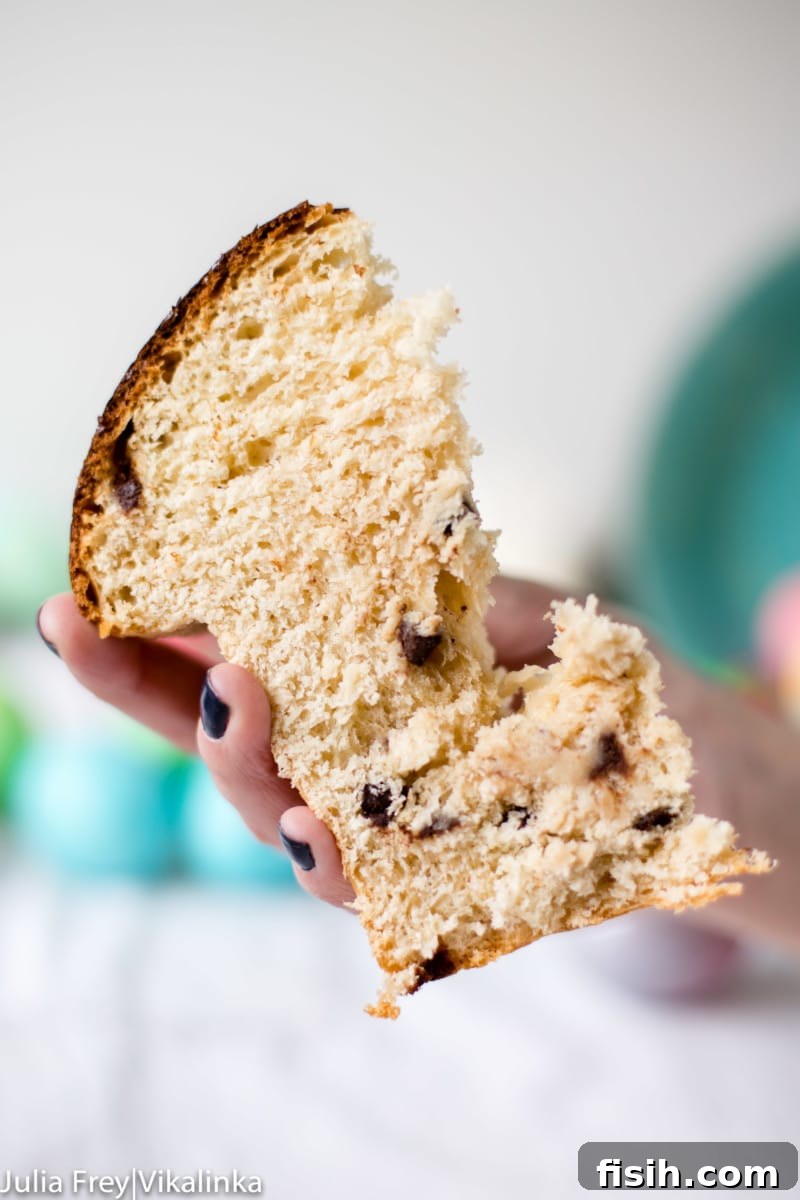 Freshly baked Russian Easter Bread Kulich with chocolate chips