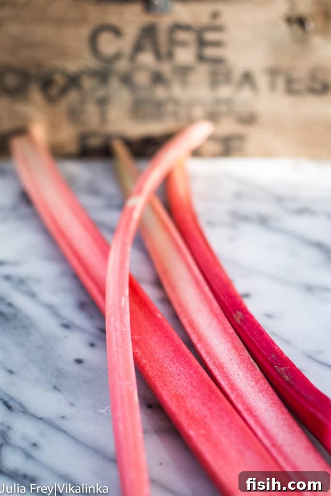 Four stalks of fresh rhubarb on a marble table, ready for preparation