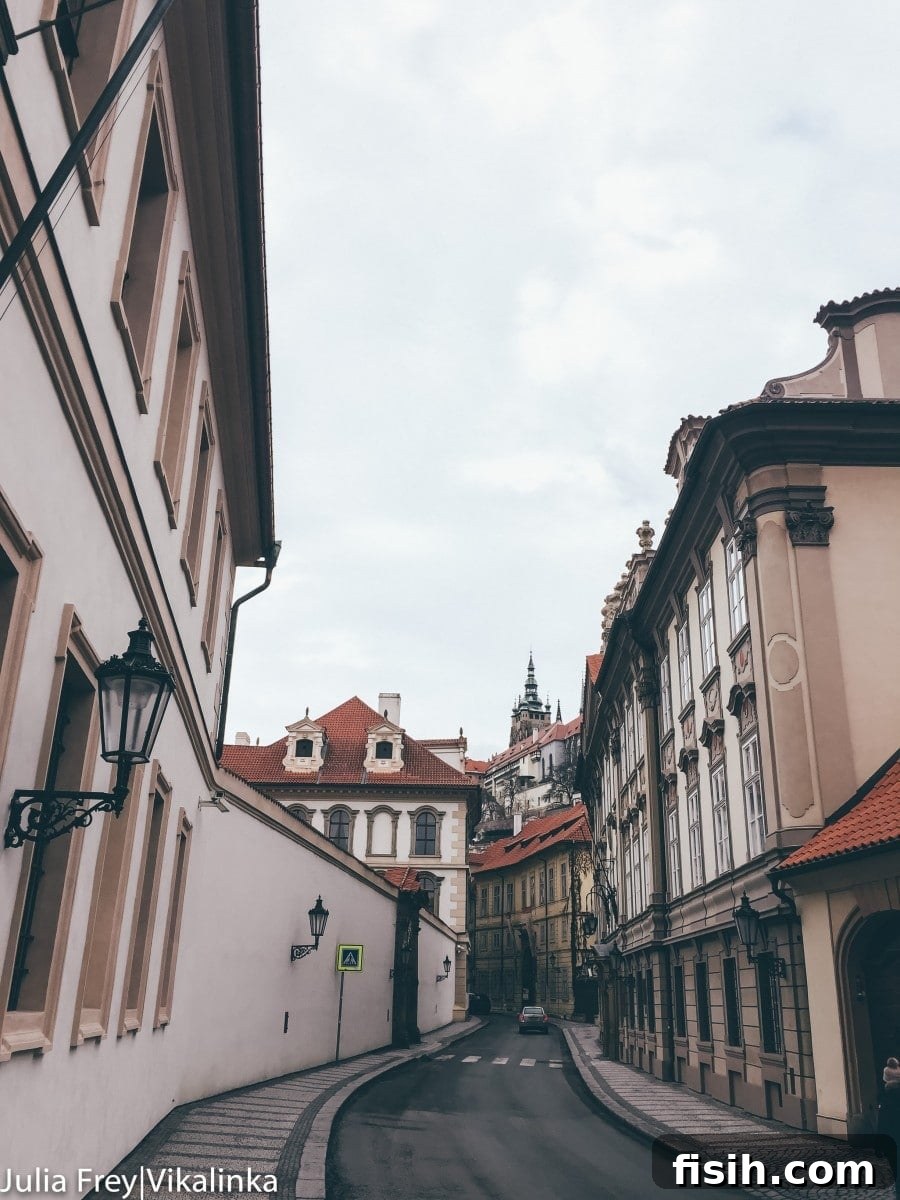 Winter in Prague: A Survival Guide