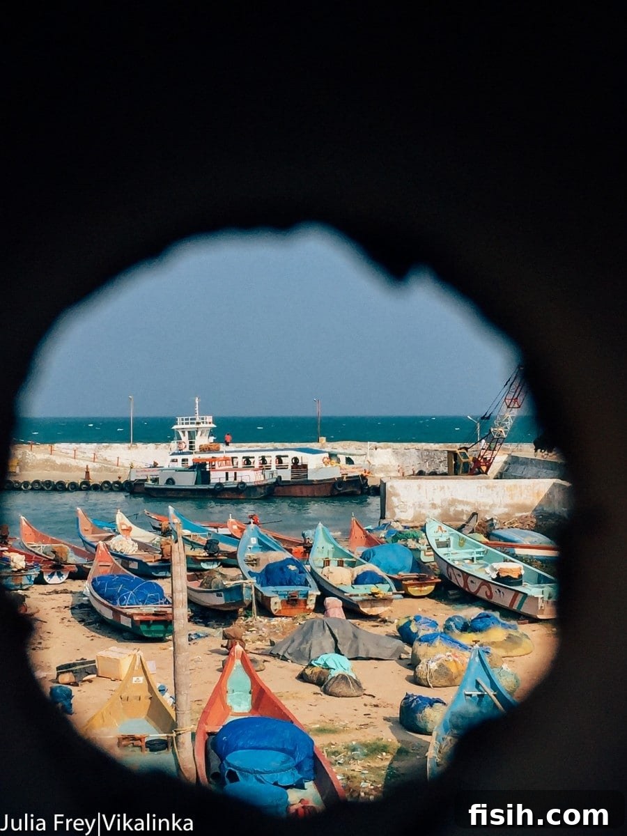 Travelling through India