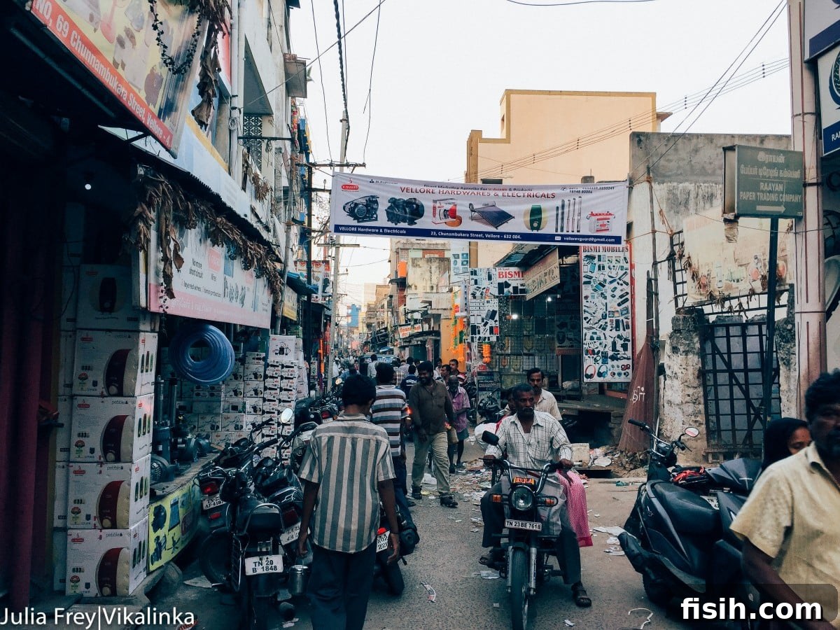 Travelling through India