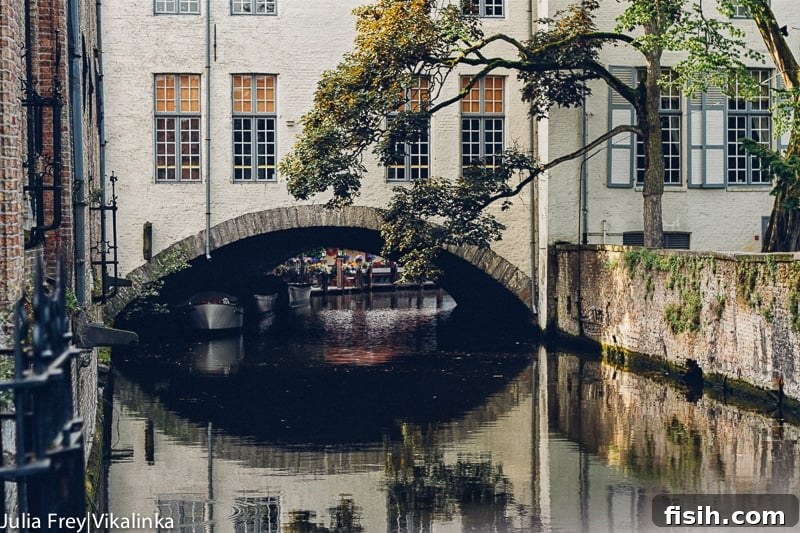 Two Hitmen in Bruges 6 In Bruges - Canal Side