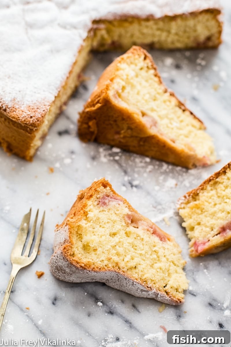 Delicious Rhubarb Sharlotka Cake slice on a white plate, dusted with powdered sugar