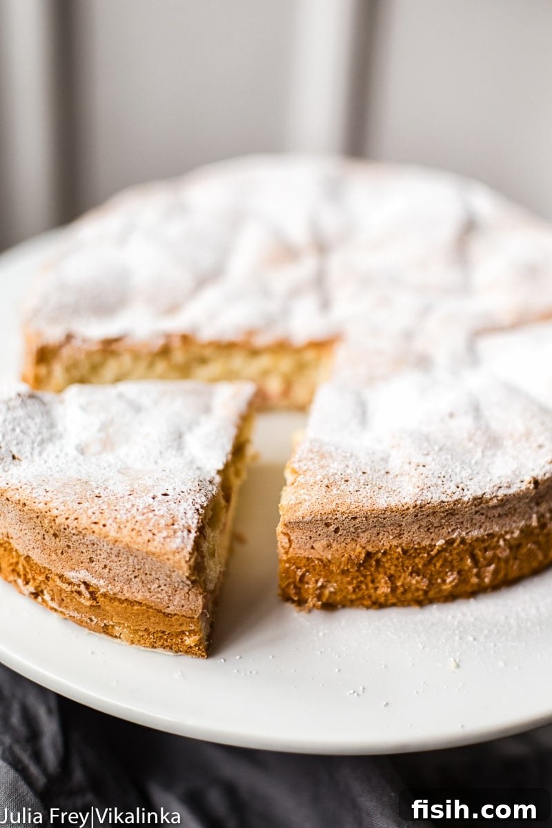 Close-up of freshly baked Rhubarb Sharlotka Cake, showing the airy sponge