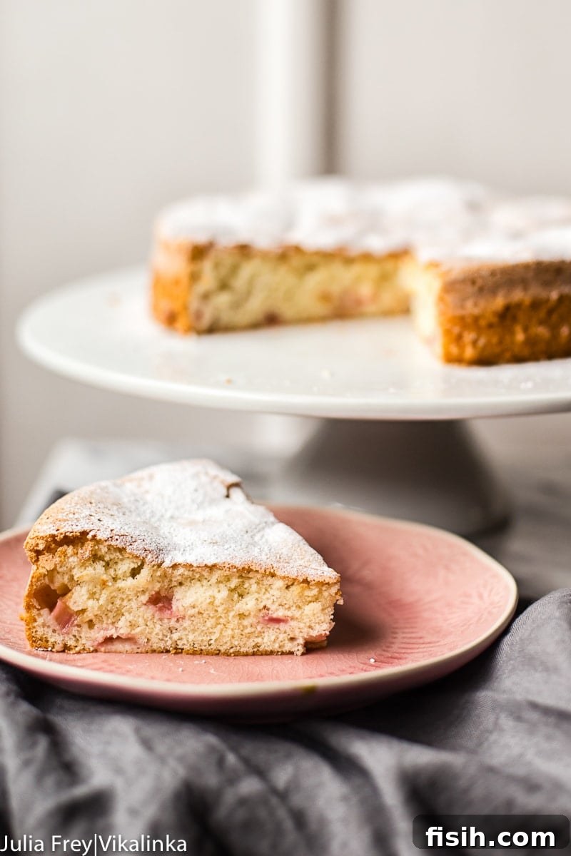 A baked Rhubarb Sharlotka Cake on a cooling rack, showing its golden crust