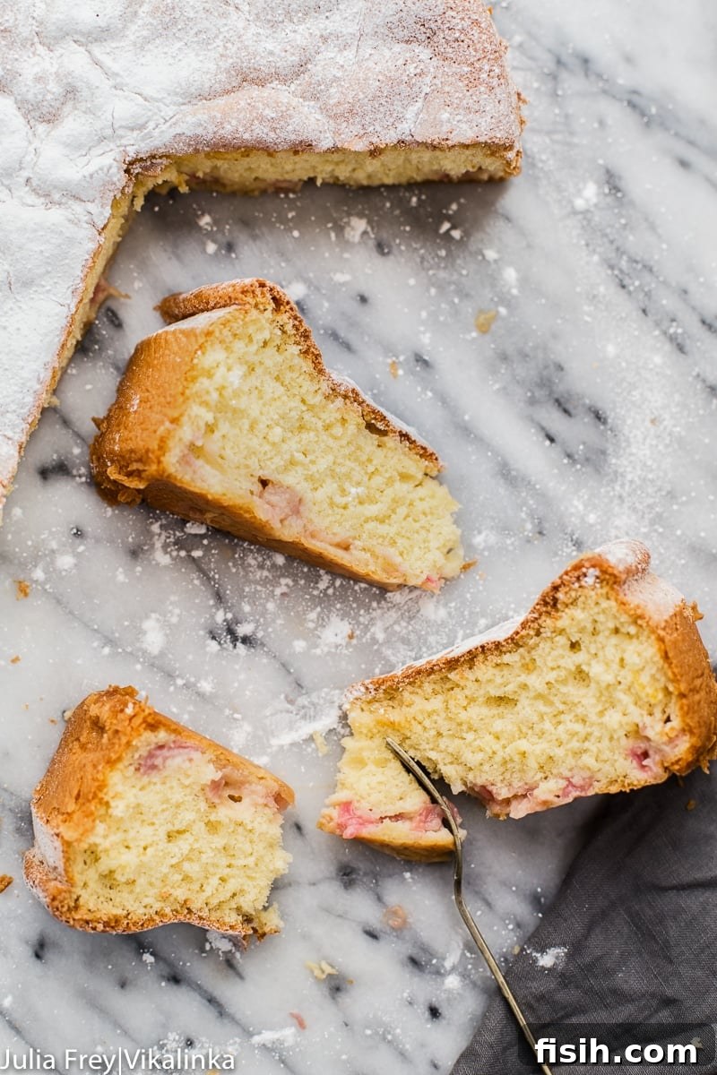 A perfectly plated slice of Rhubarb Sharlotka Cake with powdered sugar