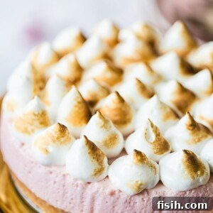 Close view of cheesecake showing meringue with light browning