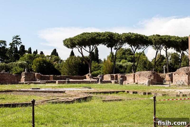 Exploring the ruins on Palatine Hill, offering a glimpse into ancient Roman civilization