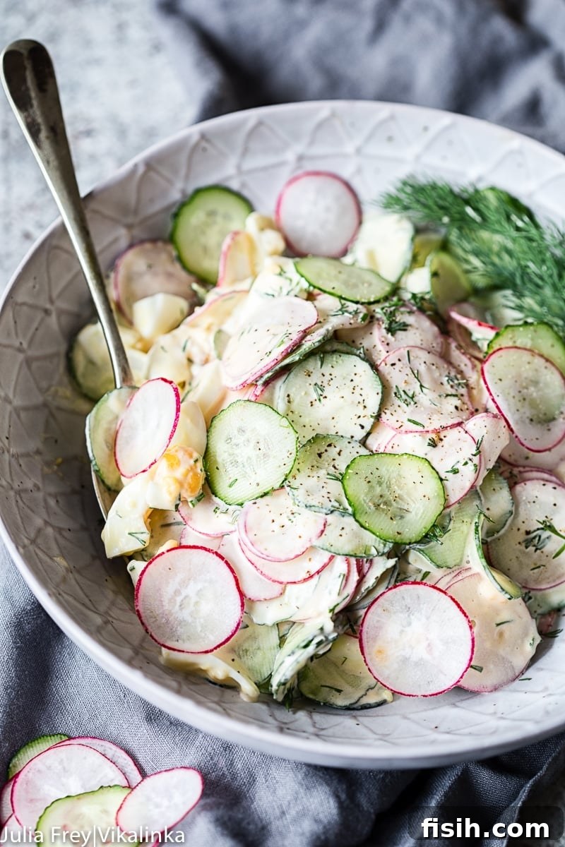 Freshly prepared dill cucumber, radish, and egg salad in a creamy dressing, garnished with fresh dill.