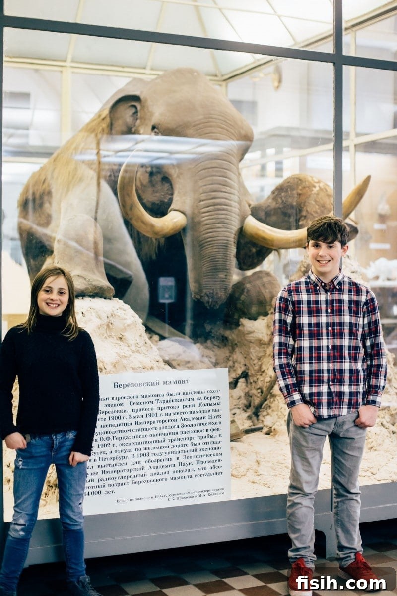 Prehistoric mammoth skeleton exhibit at the Museum of Zoology, Saint Petersburg