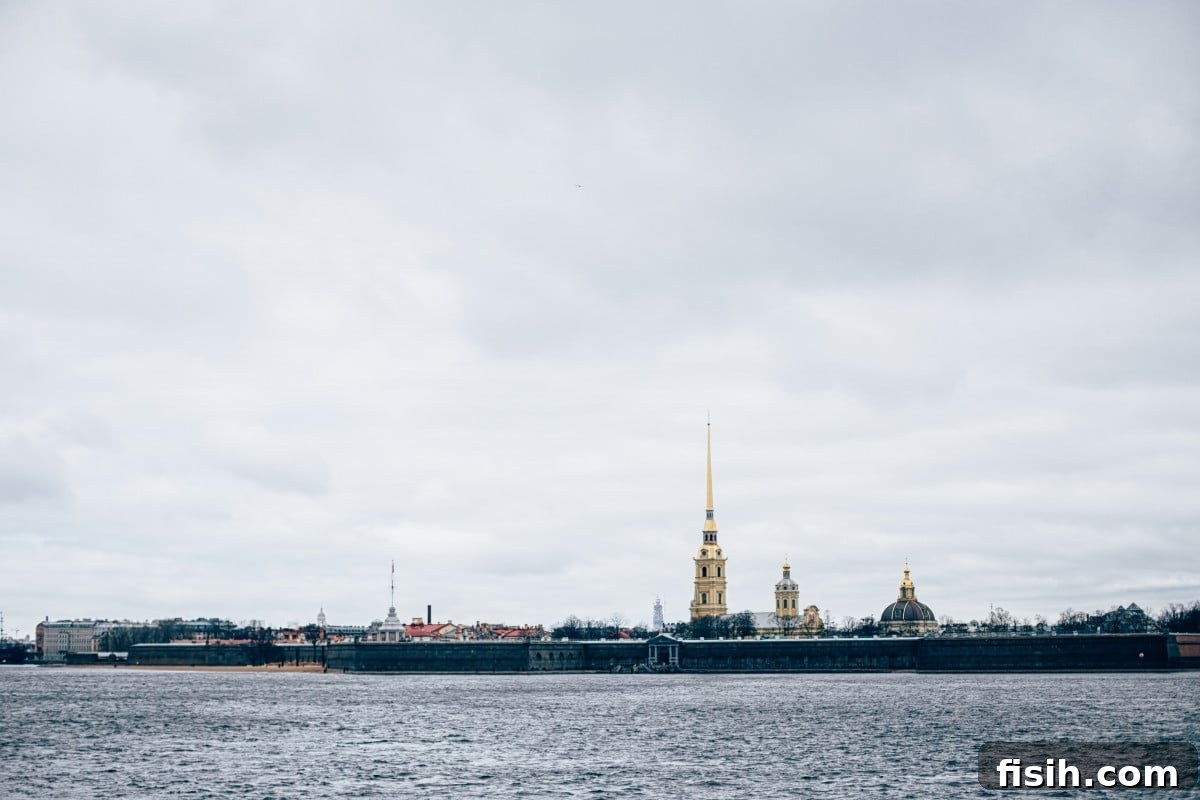Panoramic view of Saint Petersburg, featuring its iconic waterways and bridges