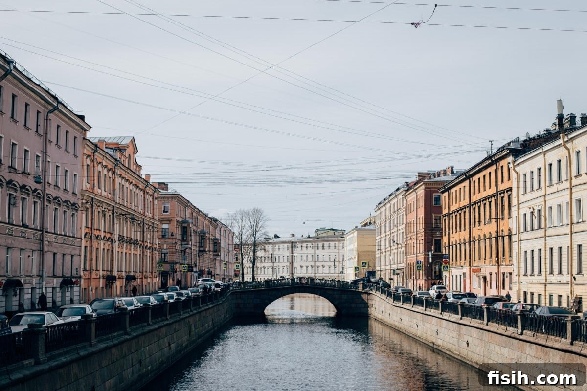 Detailed shot of Saint Petersburg's canals and bridges, essential for city navigation