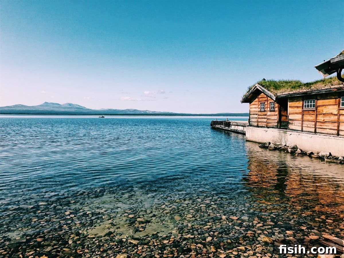 Family traveling in Sweden, scenic road