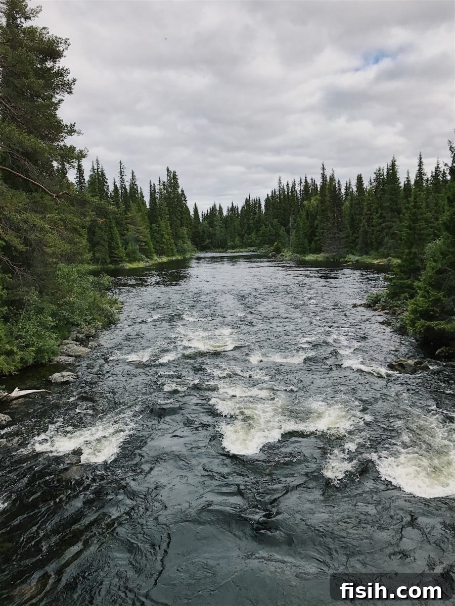 Serene lake view in Dalarna, Sweden