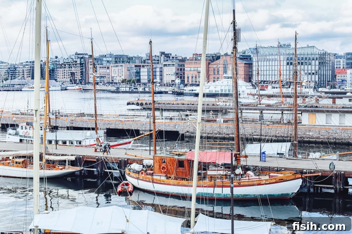 Savor Norway: A Gastronomic Exploration 11 Contemporary Scandinavian design in an Oslo hotel