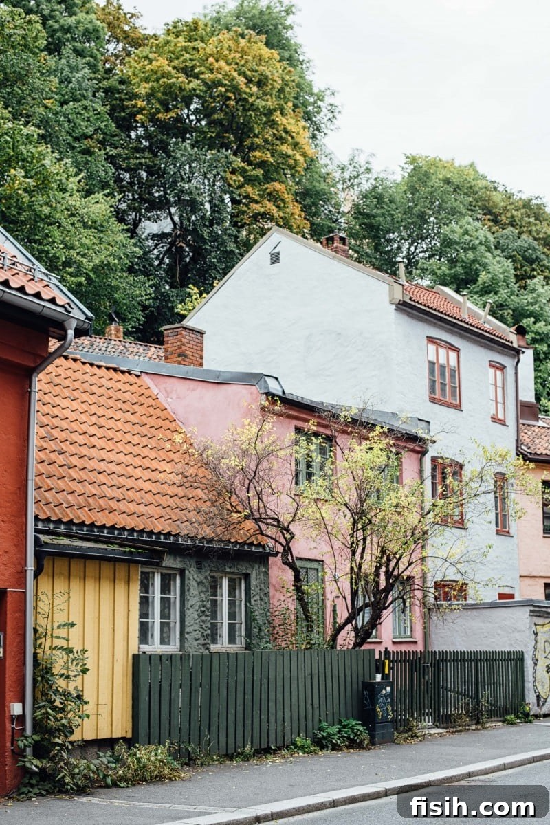 Savor Norway: A Gastronomic Exploration 14 Norway's forward-thinking approach to culture and nature