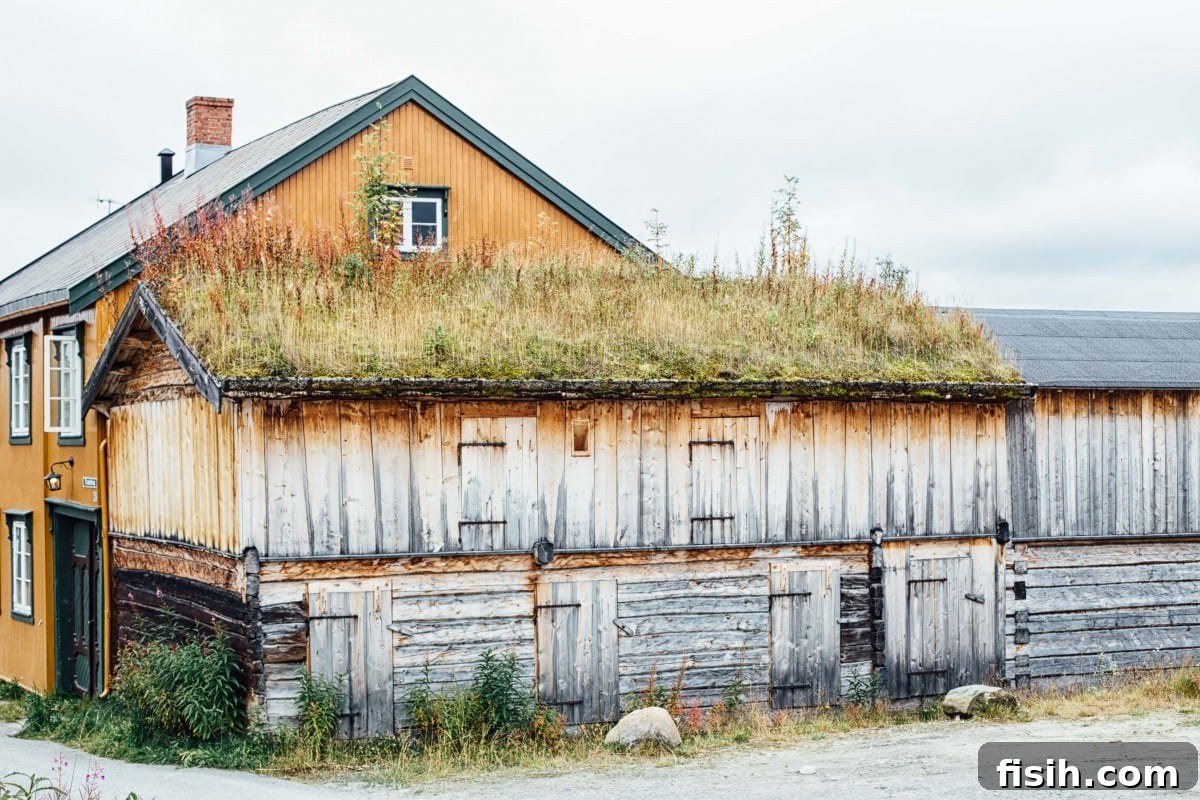 Savor Norway: A Gastronomic Exploration 4 Charming wooden houses in Norway