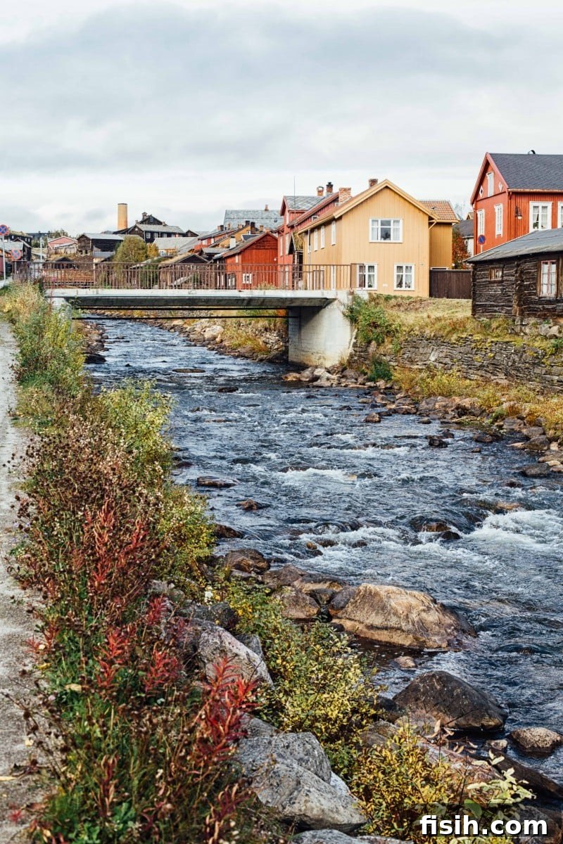 Savor Norway: A Gastronomic Exploration 6 Visit Norway: Historic Røros town center