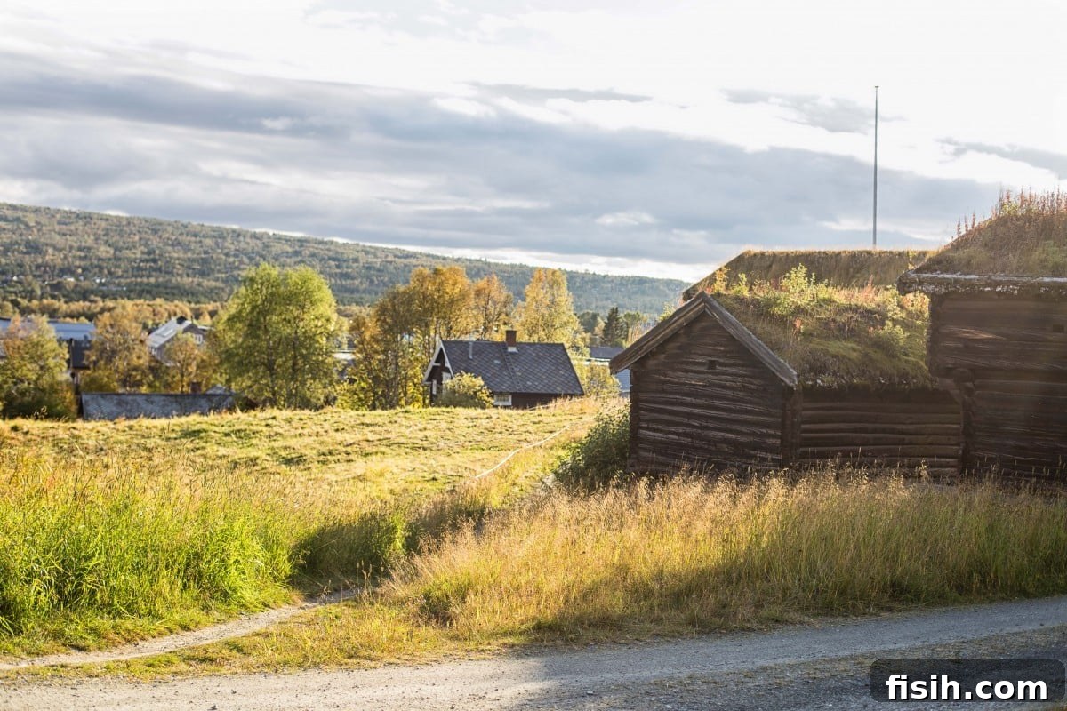 Savor Norway: A Gastronomic Exploration 7 Delicious Norwegian food and local specialties in Røros