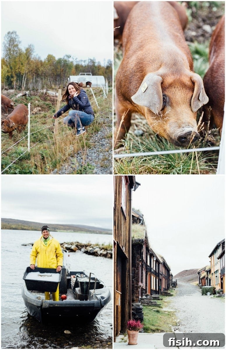 Savor Norway: A Gastronomic Exploration 8 Sustainable farming and local produce in Norway