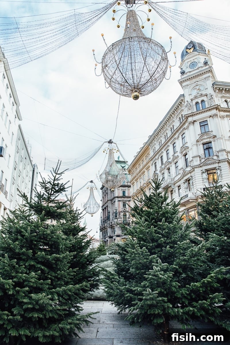 Lights and trees decorating Vienna, illuminating the festive atmosphere