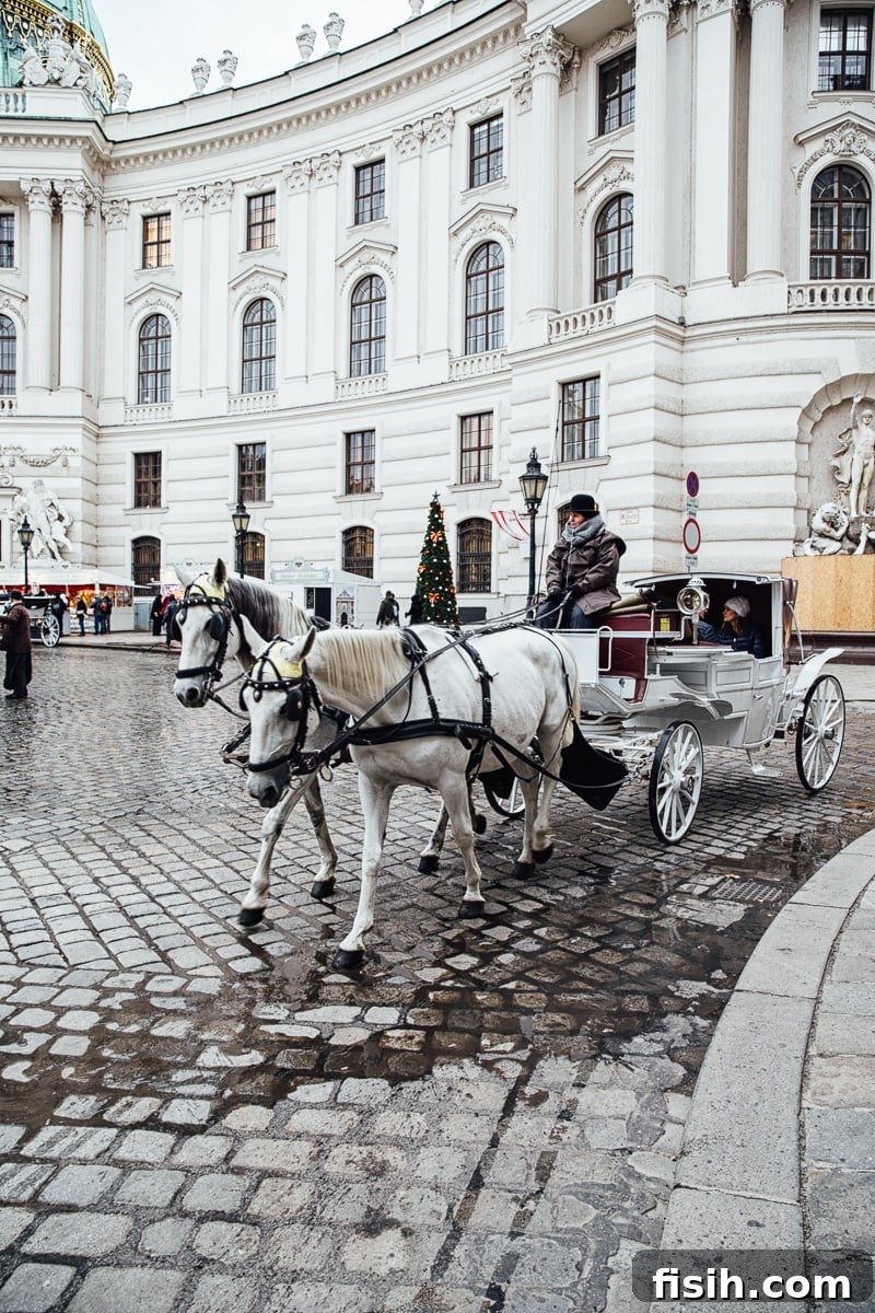 Captivating street view of Vienna