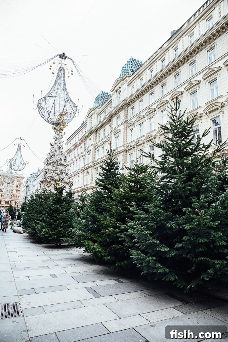 Beautiful architecture and streets of Vienna