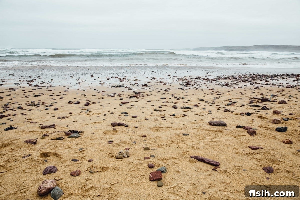 Rocky Welsh beach